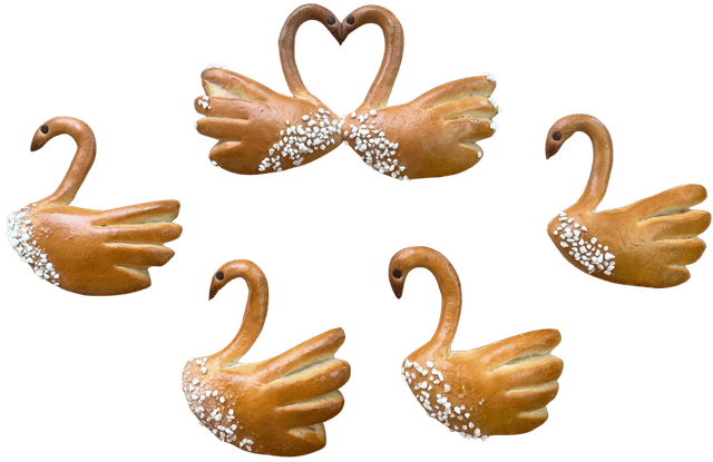 bread swan